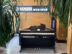 -海音琴行雅马哈钢琴·海伦·施特劳斯(金沙店)
