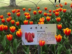 -院士公园