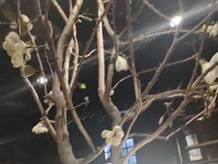 -韩盛·盛江山自助料理(于洪新玛特店)