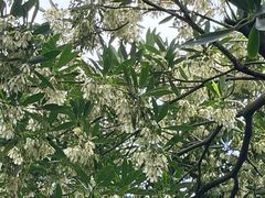 -云溪植物园