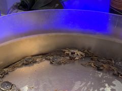 -红透天牛排海鲜自助(长和国际直营店)