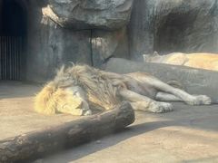 -南昌动物园