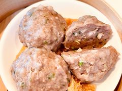 陈皮牛肉球-利苑酒家(金宝店)