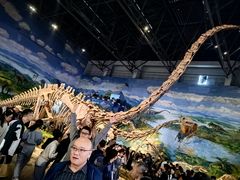 -自贡恐龙博物馆