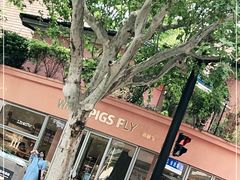 -WHEN PIGS FLY当猪飞