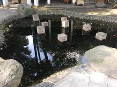 -温江公园