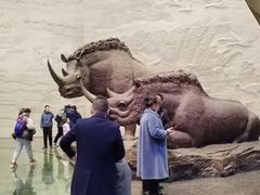-大庆市博物馆
