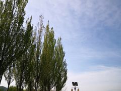 -芦芽山旅游度假区