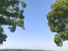 -尚湖风景区