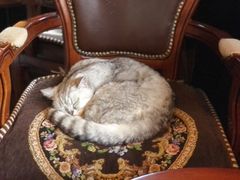 -不舍昼夜咖啡馆