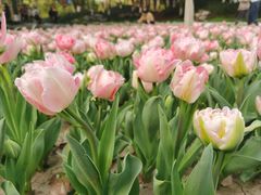 -玄武湖景区-情侣园游乐场