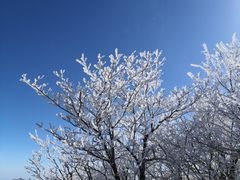 -湖州龙王山景区