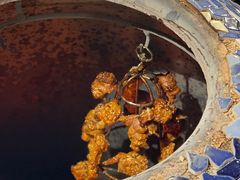 -纳鲁孜·新疆特色餐厅(上海悦荟广场店)