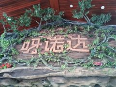 -呀诺达热带雨林