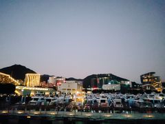 -大梅沙海滨公园