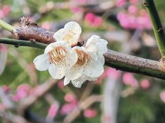 -静安雕塑公园