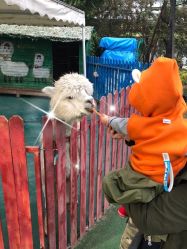 -萌宠亲子动物乐园(槐房万达店)