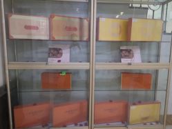 -诗安嘉康月子中心(未来方舟店)