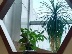 -沐春秋茶书院·茶室.茶馆.商务包房(知春路店)