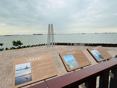 -上海滨江森林公园