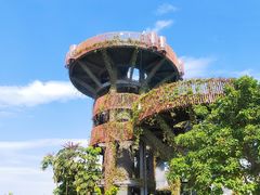 -芒洲湿地公园