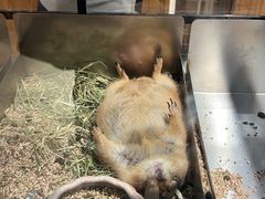 -瑞虹新天地月亮湾