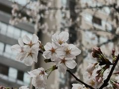 -堤角公园