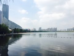 -天鹅湖体育公园