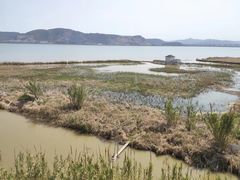 -漩门湾国家湿地公园