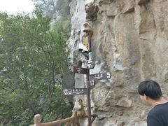 景点-神农山景区