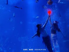 -太平洋海底世界