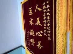 -中农大我爱我爱动物医院·核磁CT·猫病·24小时夜诊中心(石佛营店)