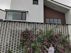 -东梓关景区村庄
