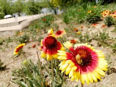 -永定河休闲森林公园