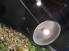 -酷公社·榴莲披萨(太原街店)