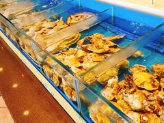 -火舞泰·泰式海鲜火锅餐厅(世纪城店)