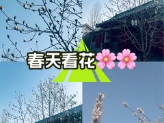-迎泽公园