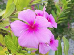 -半天妖烤鱼(芝罘万达店)