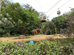 -广州长隆野生动物世界