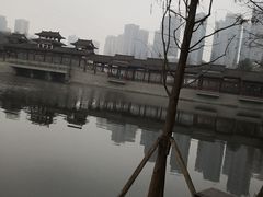 -重庆彩云湖湿地公园