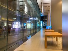 -Apple零售店(华贸购物中心店)