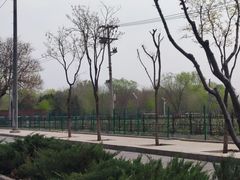 -北京西山国家森林公园