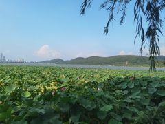 -云龙湖旅游景区