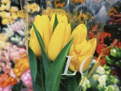 -循礼门鲜花花市(武汉循礼门店)