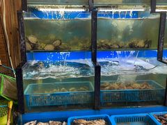 水产区-老东镇啤酒屋海鲜加工·蒸汽海鲜·海鲜烧烤(台东店)