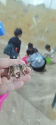 -可可天空农场(中大店)