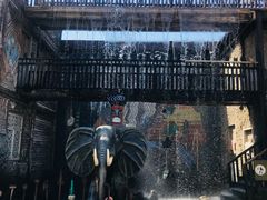 -呀路古热带植物园