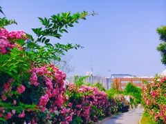 -太阳宫公园