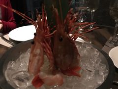 -Casa Fina Seafood & Oyster Bar