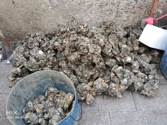 -濠轩阁特色生蚝火锅(水湾路店)